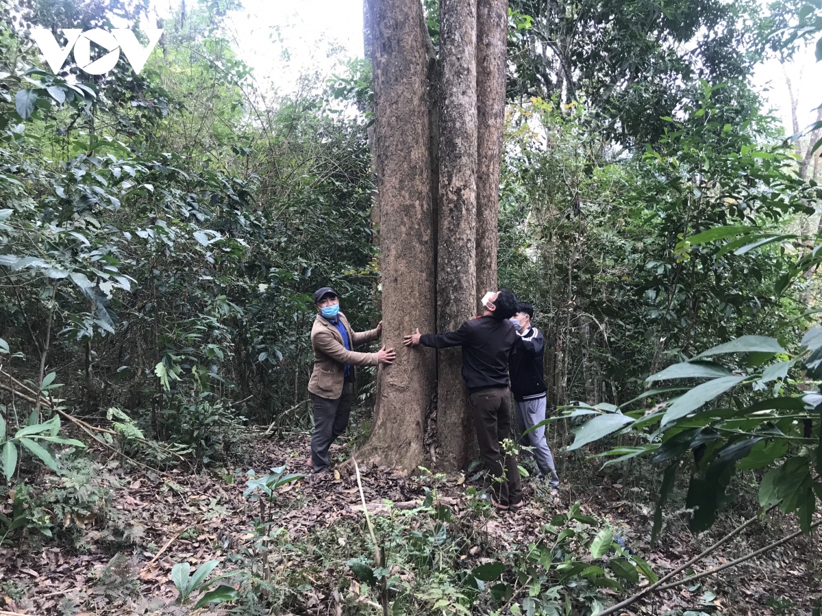 爱情身手：何没有趁着过去出来旅游汲引热忱温度呢