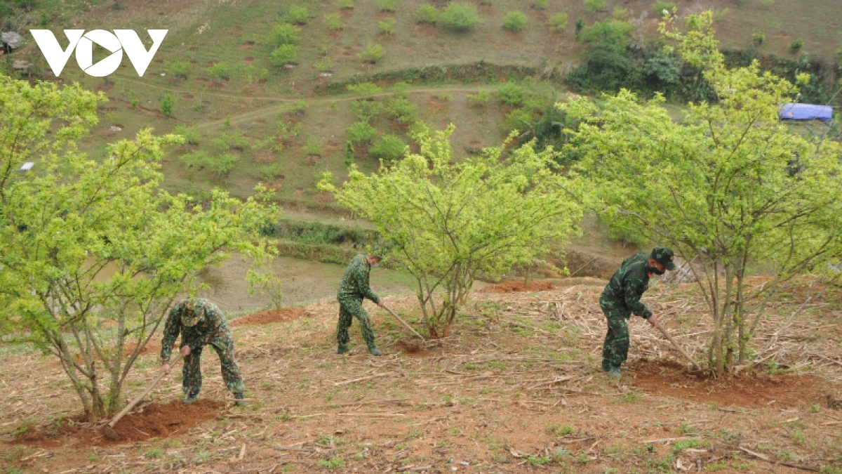 Lính biên phòng Chiềng On cùng dân xóa đói, giảm nghèo