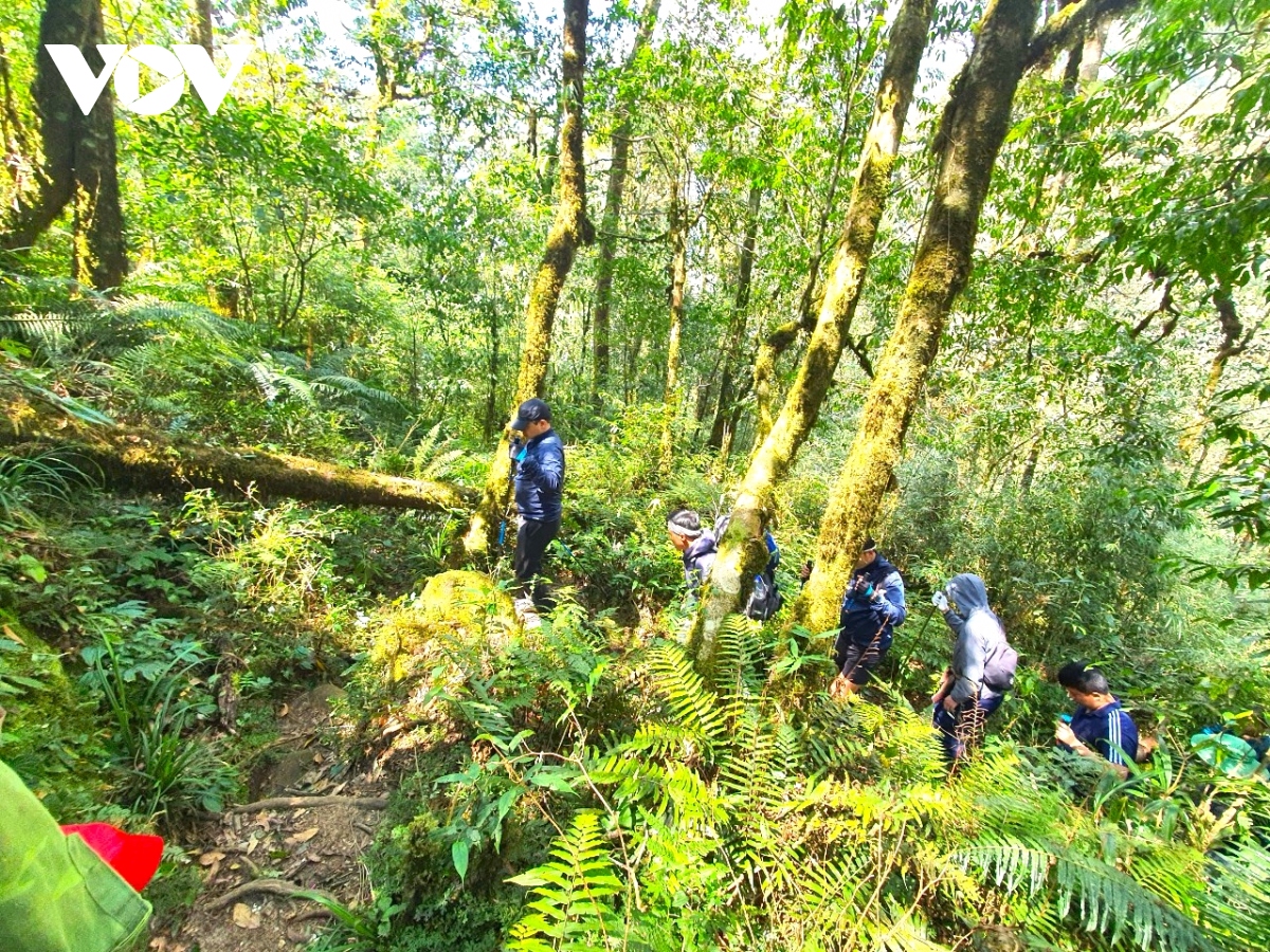 Do quyen khoe sac tren dinh putaleng tai lai chau hinh anh 10