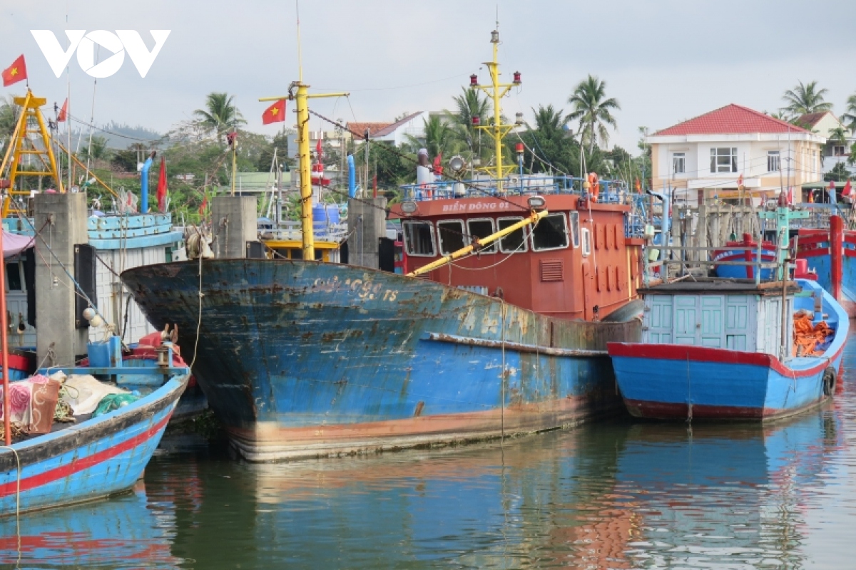 Vì sao Quảng Ngãi phải bán đấu giá tàu vỏ thép 67?