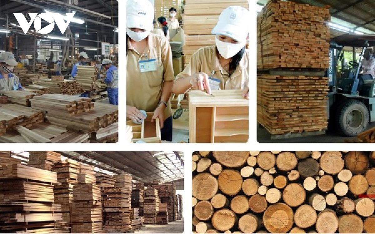 vietnam aims for wood and forest product export target of us 20 billion by 2025 picture 1