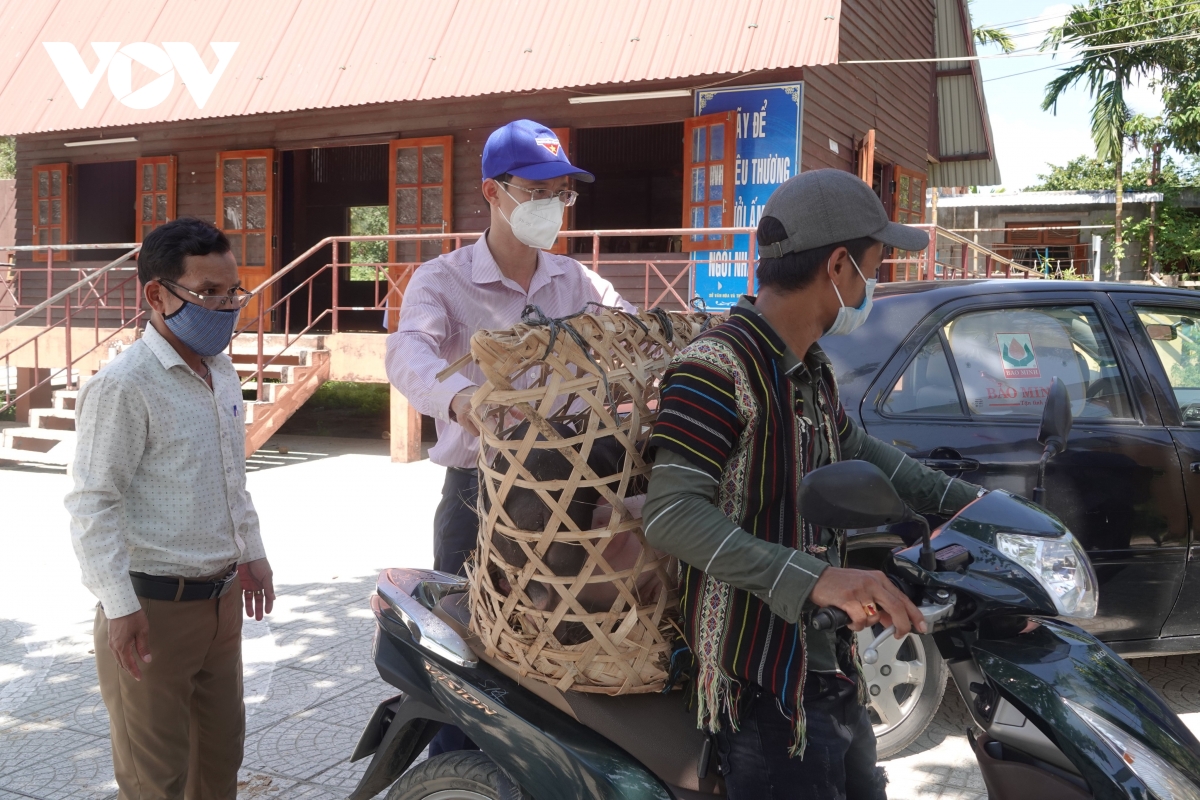 Tạo sinh kế cho thanh niên Cơ Tu