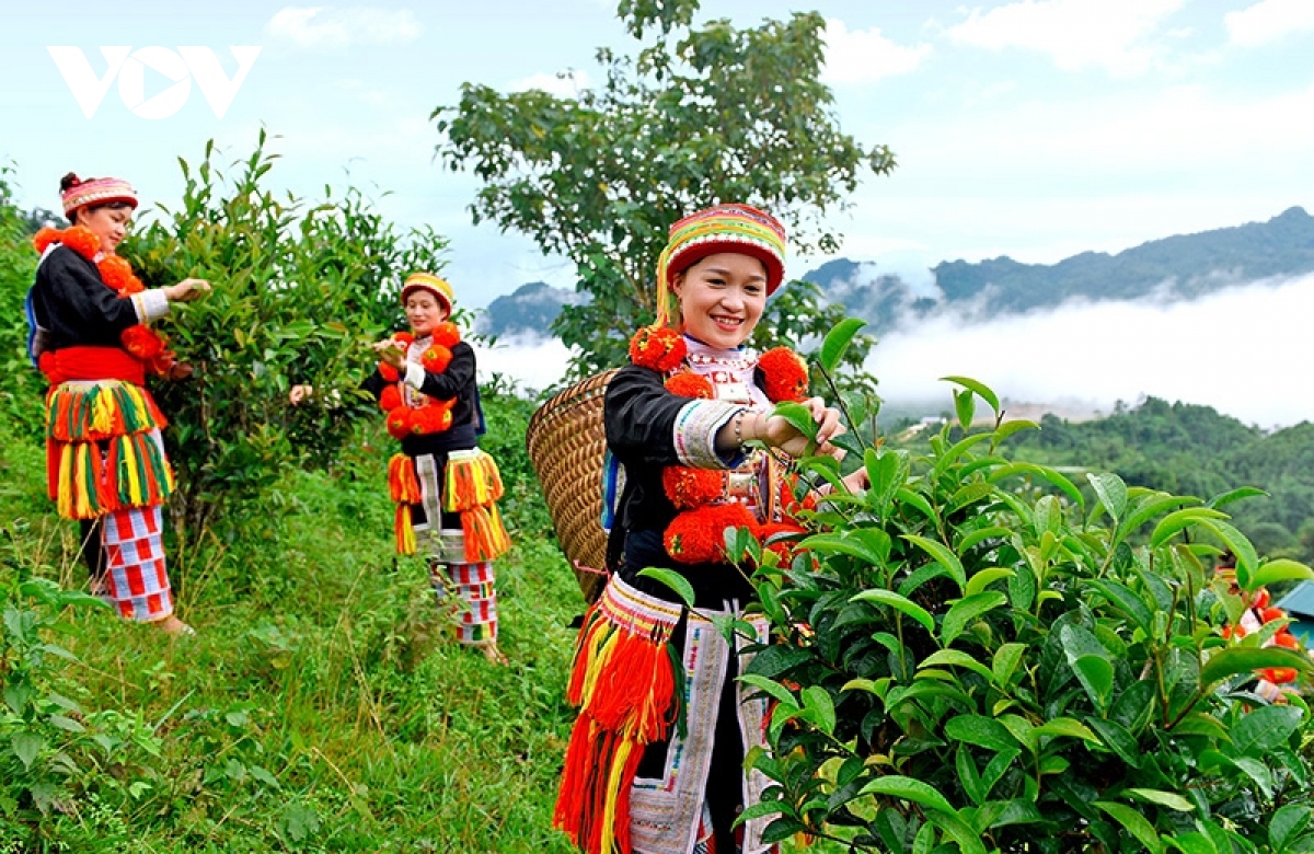 tuyen quang mong don khach du lich tu tp.hcm hinh anh 3