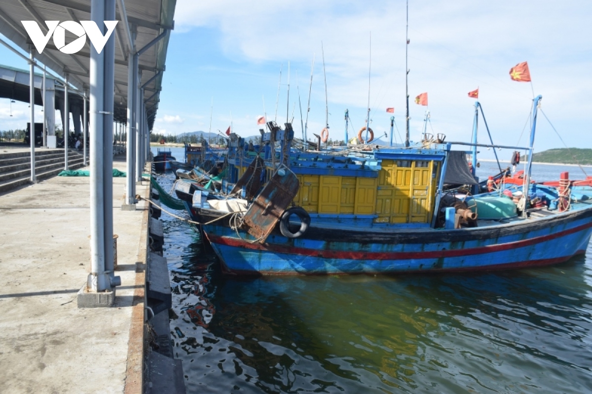 cang ca tien chau van chua dap ung duoc dich vu hau can nghe ca hinh anh 3