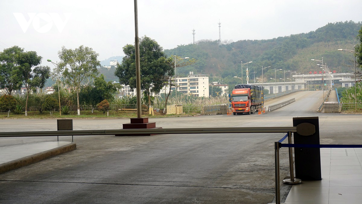 xuat khau tieu ngach kho tranh un tac vi phu thuoc cua khau phu va loi mo hinh anh 2