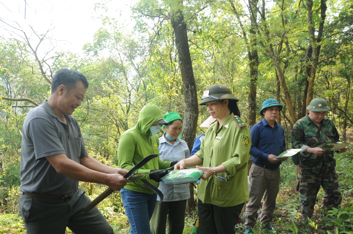 phu yen son la no luc bao ve, phat trien rung ben vung hinh anh 1