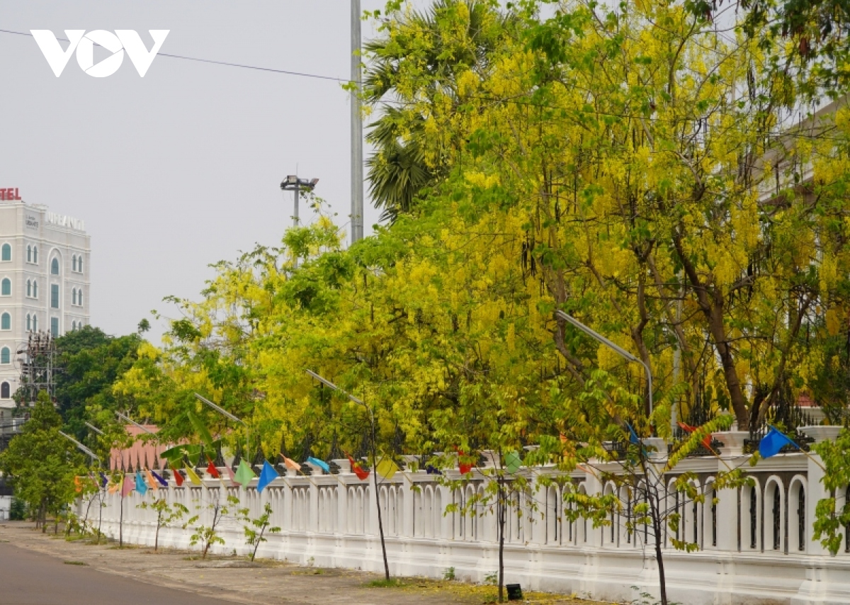 ruc ro hoa dok khun sac mau tet co truyen cua dat nuoc trieu voi hinh anh 10