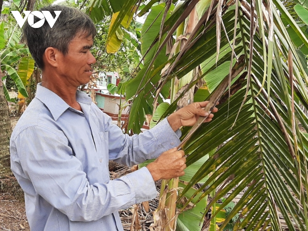 ben tre phat dong phong trao phong tru sau dau den hai dua hinh anh 1