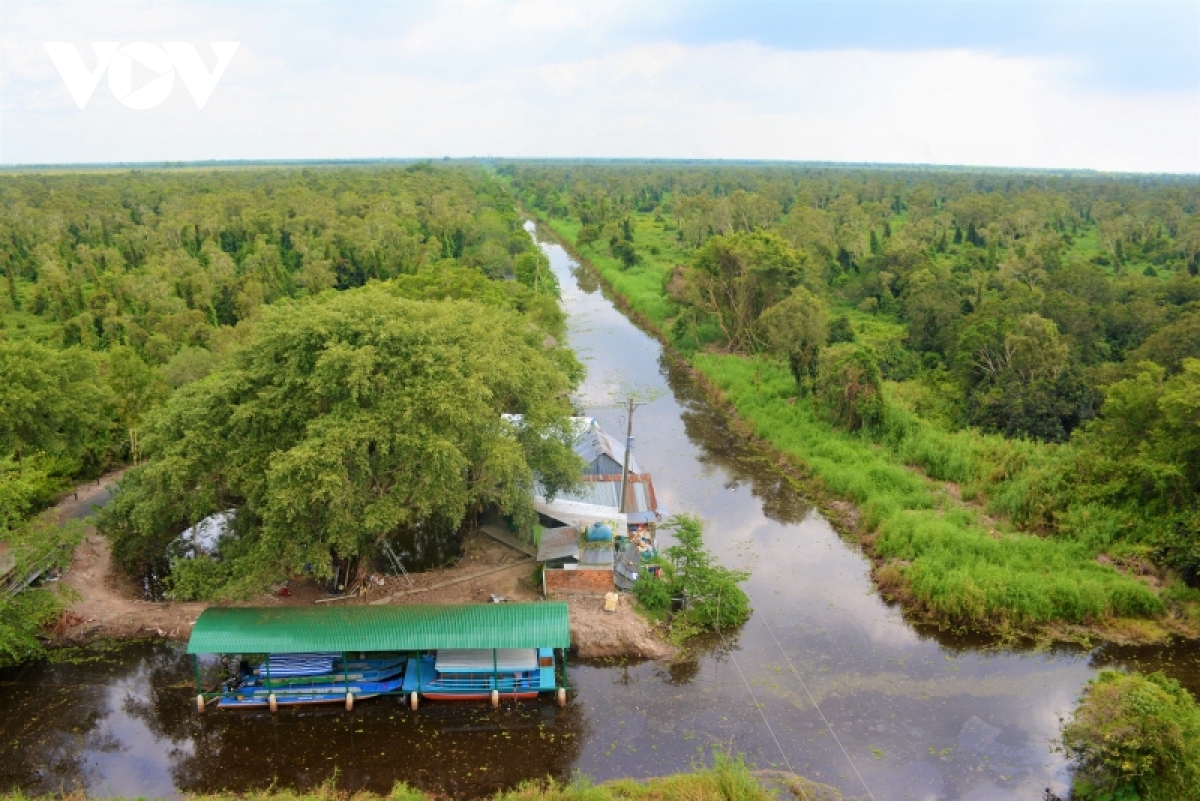 du lich ca mau phuc hoi tich cuc hinh anh 2