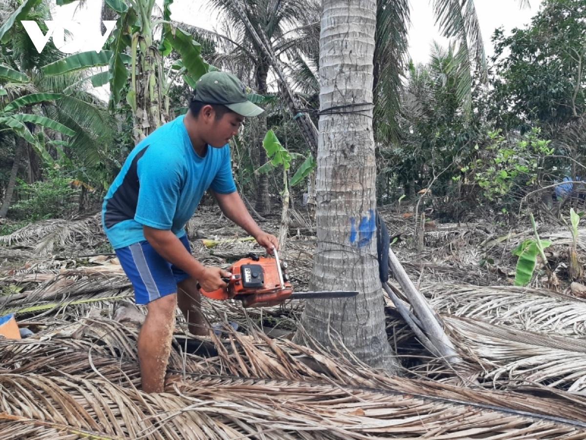 ben tre phat dong phong trao phong tru sau dau den hai dua hinh anh 2