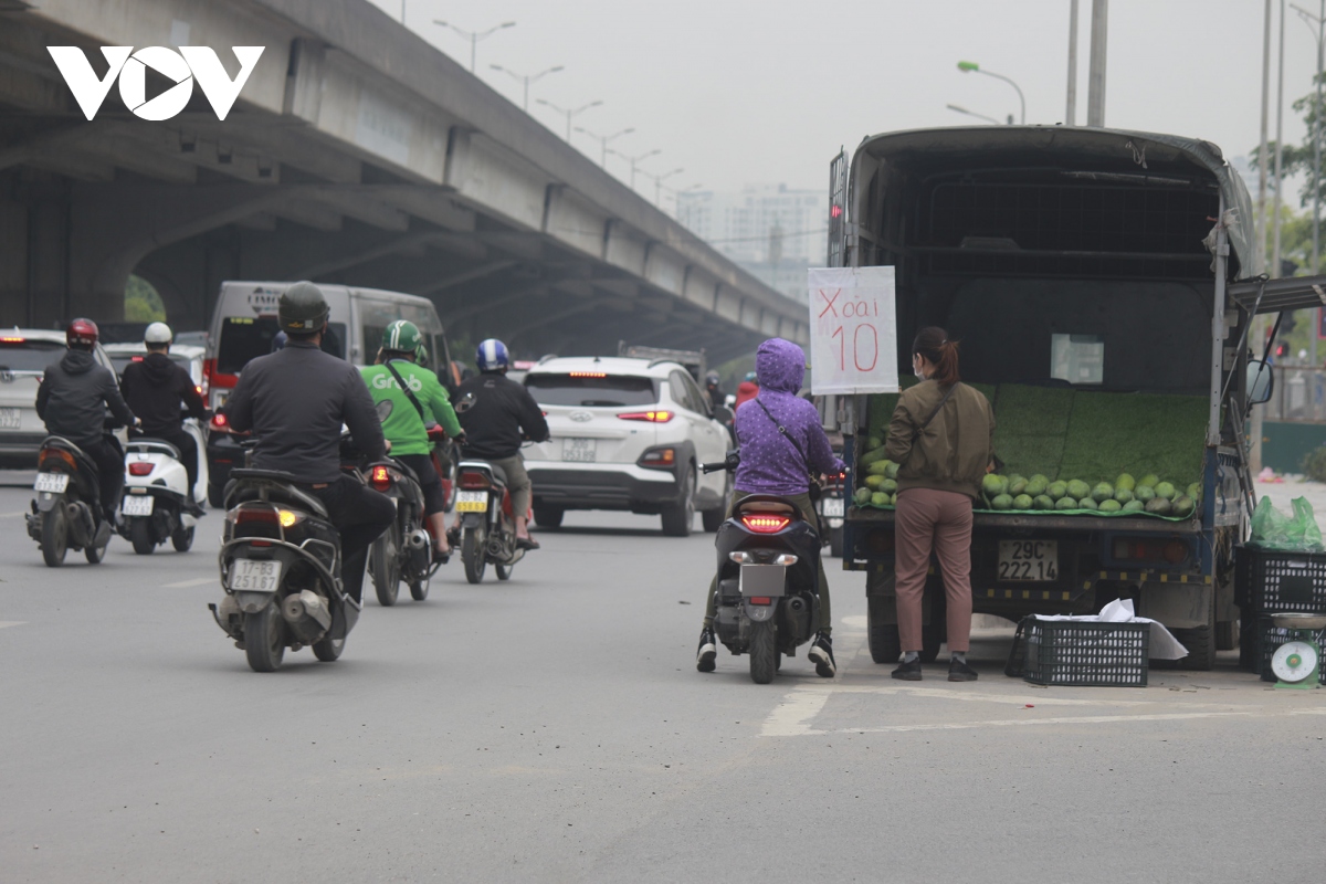 cho tu phat moc len nhu nam doc dai lo thang long hinh anh 10