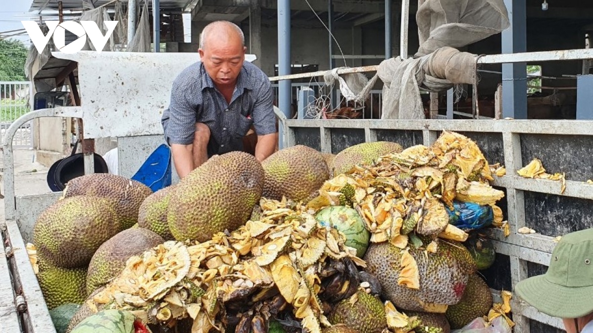 ty phu nuoi bo o binh chanh, tp.hcm hinh anh 2