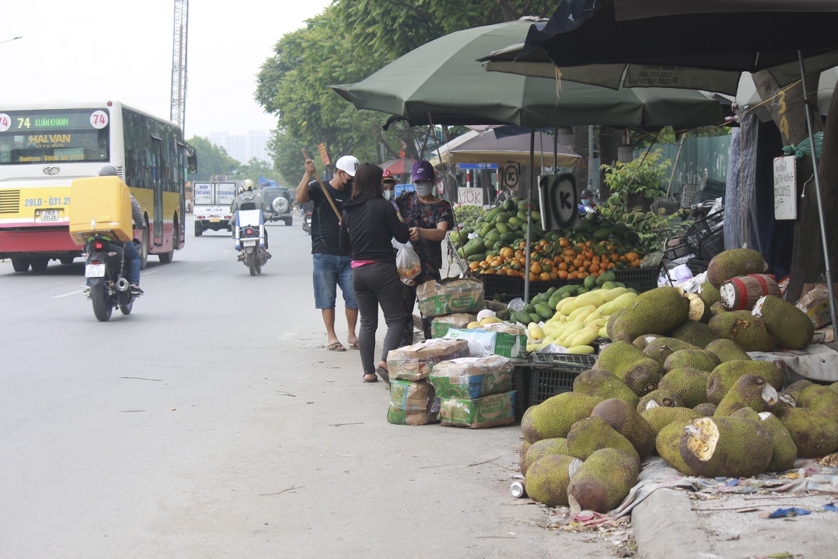 cho tu phat moc len nhu nam doc dai lo thang long hinh anh 1