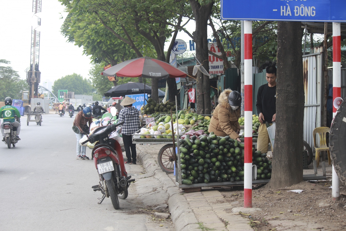 cho tu phat moc len nhu nam doc dai lo thang long hinh anh 4