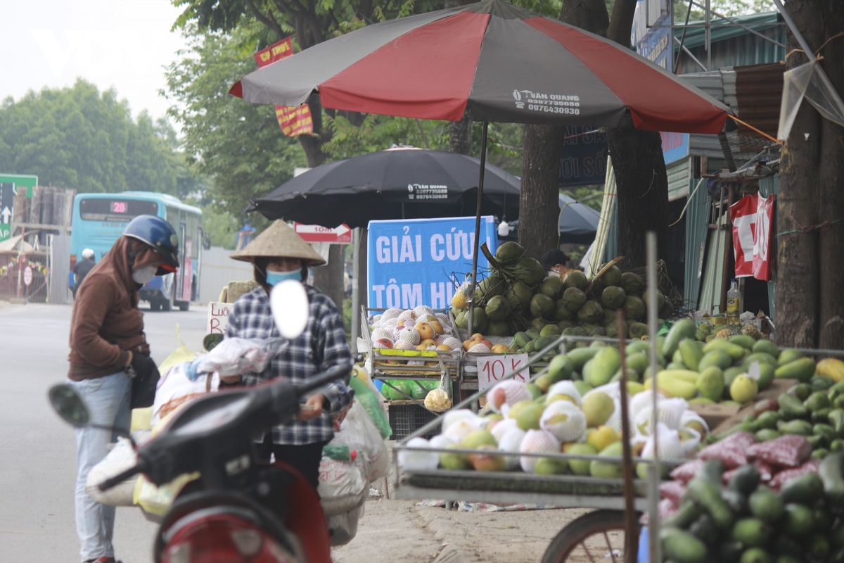 cho tu phat moc len nhu nam doc dai lo thang long hinh anh 12