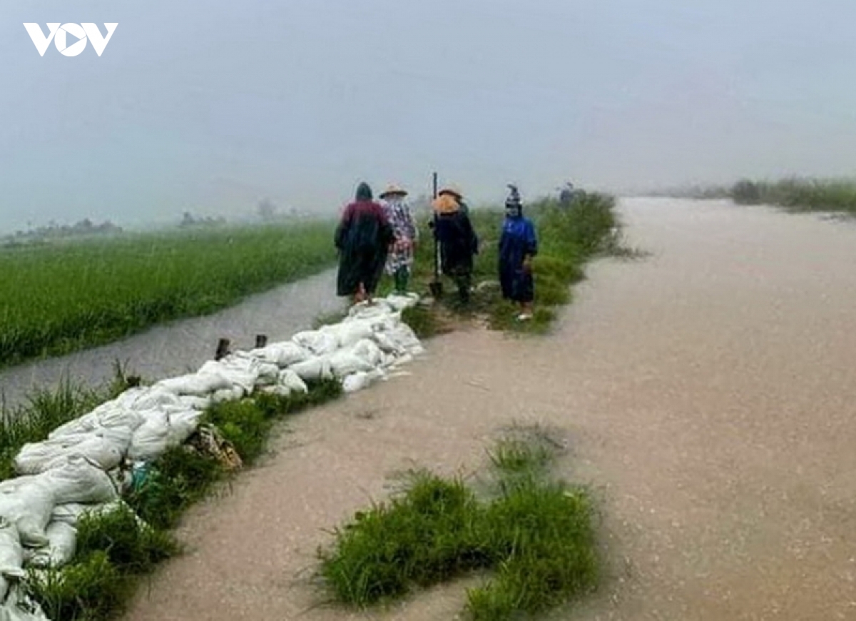 cac tinh nam trung bo khan truong khac phuc hau qua cua mua lu bat thuong hinh anh 4