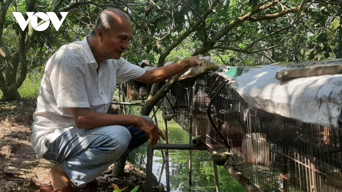 Ong lao xu dua het minh voi que huong, lang xom hinh anh 6