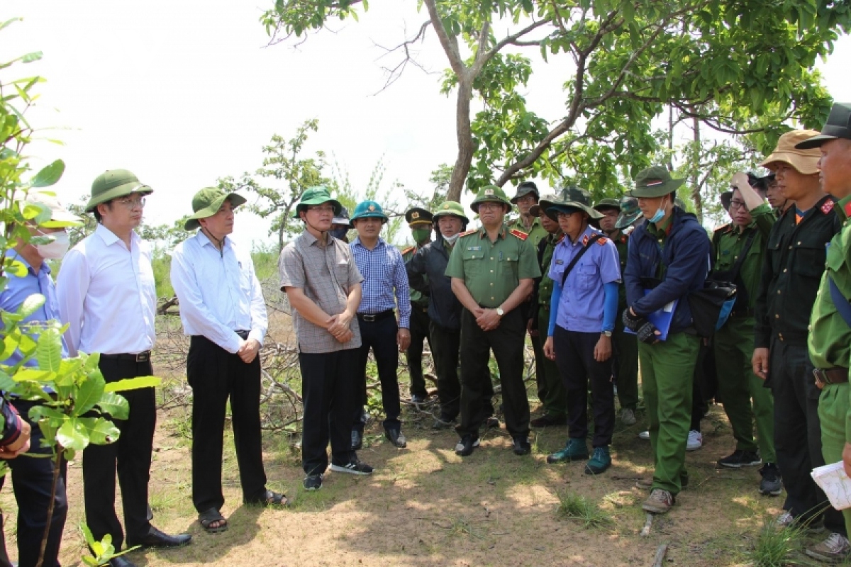 bi thu tinh uy Dak lak kiem tra, chi dao cong tac dieu tra vu pha gan 400 ha rung hinh anh 1