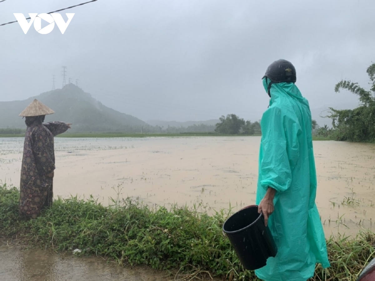 thua thien hue, quang tri, Da nang mua lon, hang nghin ha lua va hoa mau bi hu hai hinh anh 7