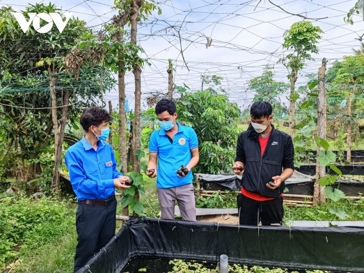 nhieu thanh nien Dak lak doi doi tu cac mo hinh khoi nghiep hinh anh 1