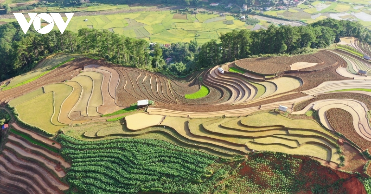 mu cang chai khoi dong du lich voi dem nghe thuat vang mai bai ca ngay hoi thong nhat hinh anh 2