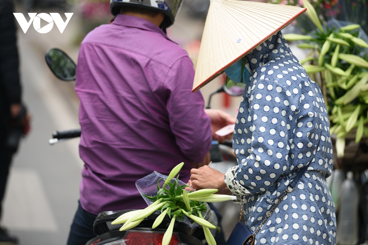 hoa loa ken diu dang tren pho ha noi nhung ngay cuoi thang 4 hinh anh 8