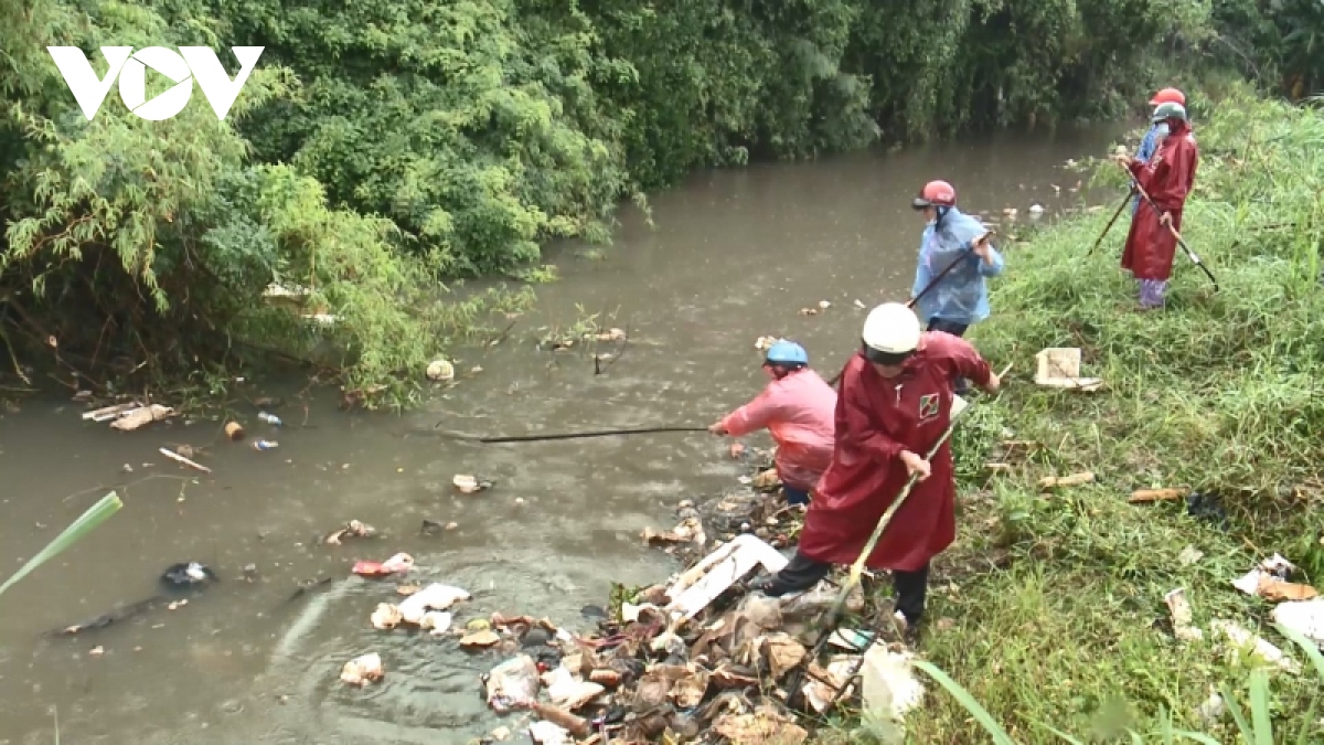 nong dan phu yen doi dien voi vu lua giam nang suat tram trong hinh anh 3