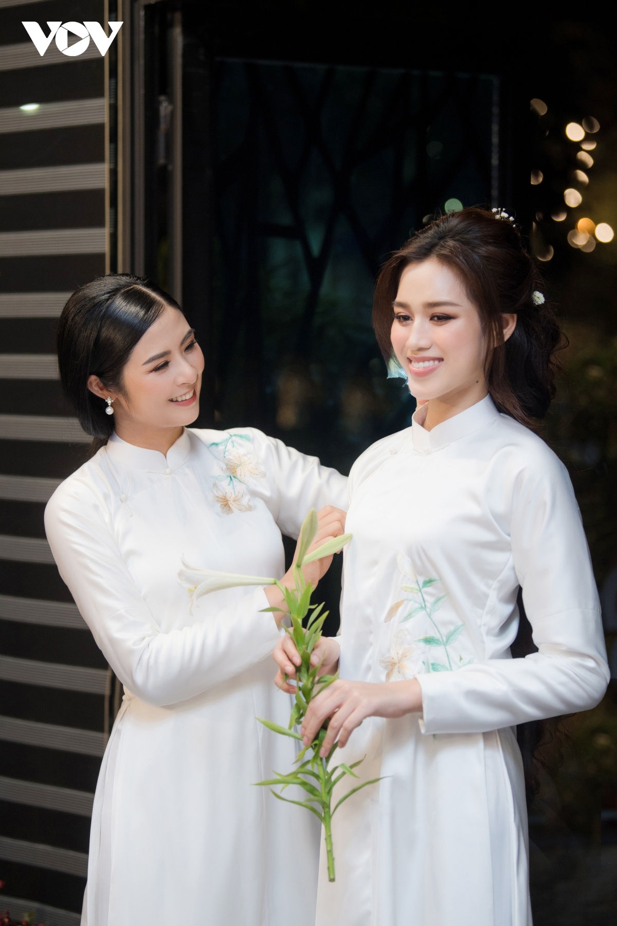 Do thi ha lan dau dien ao dai cho hoa hau ngoc han hinh anh 7