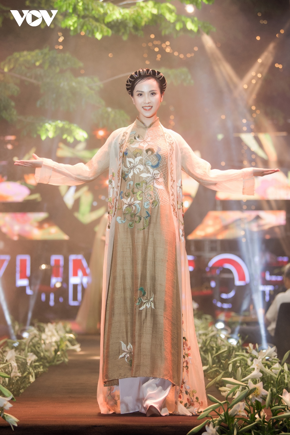 Do thi ha lan dau dien ao dai cho hoa hau ngoc han hinh anh 11