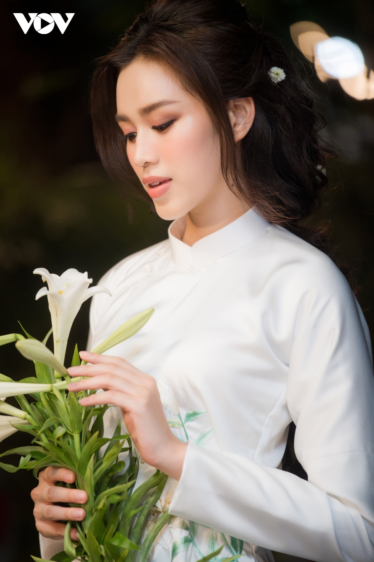 Do thi ha lan dau dien ao dai cho hoa hau ngoc han hinh anh 3