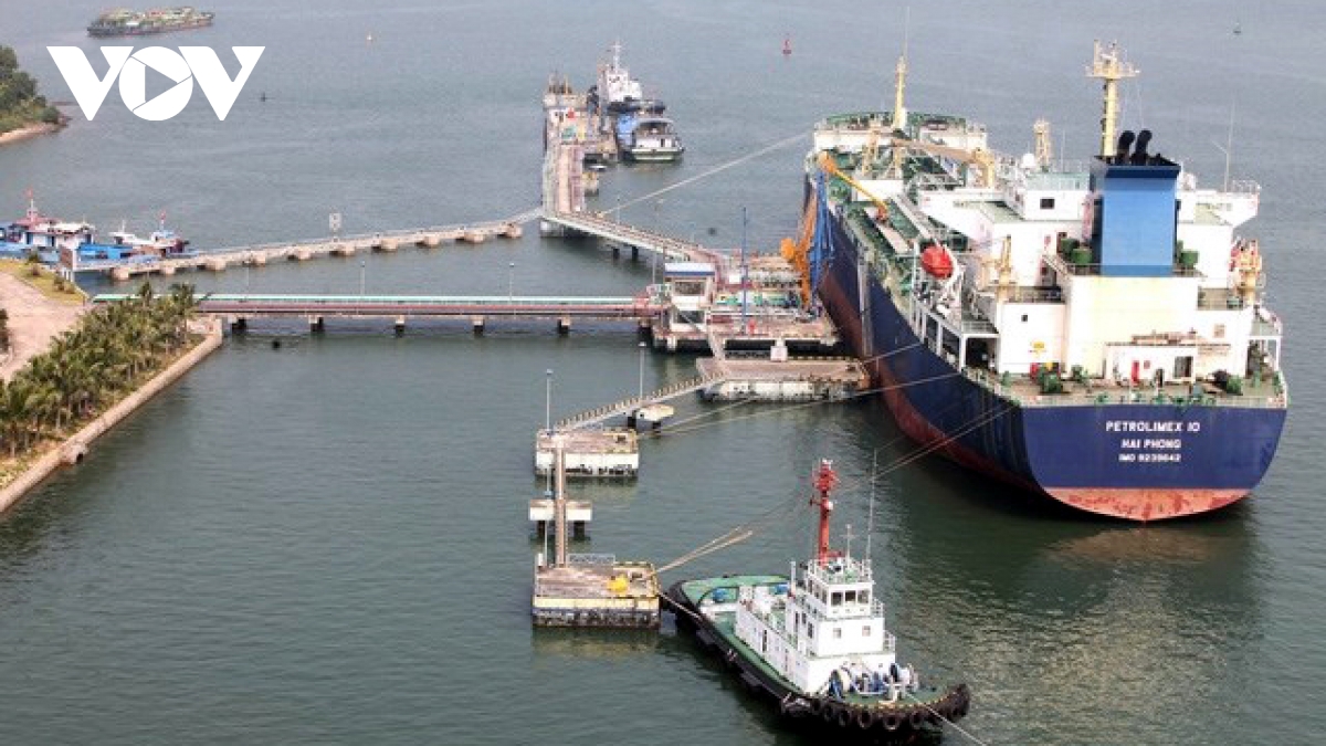 du tru xang dau phai duoc nang tam chien luoc quoc gia hinh anh 2