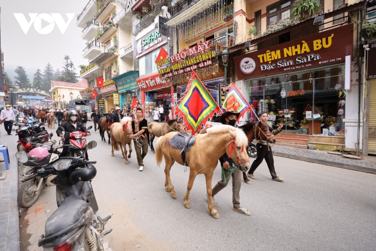 hap dan giai dua vo ngua tren may giua thung lung hoa hong lon nhat viet nam hinh anh 12