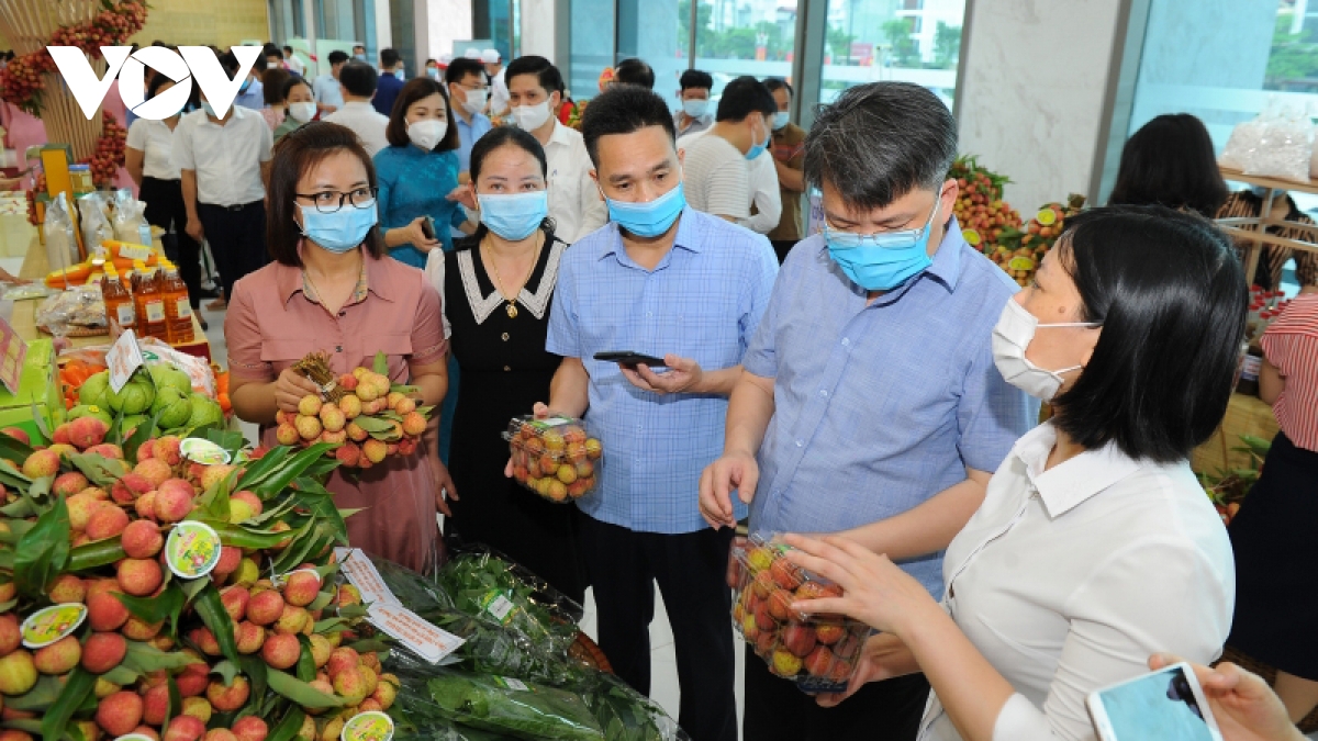 hải dương vào vụ vải sớm, giá từ 50.000 - 60.000 đồng kg hình ảnh 10 hai duong vao vu vai som, gia tu 50.000 - 60.000 dong kg hinh anh 10