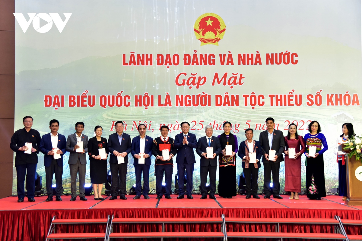 lanh dao Dang, nha nuoc gap mat dai bieu quoc hoi nguoi dan toc thieu so hinh anh 5