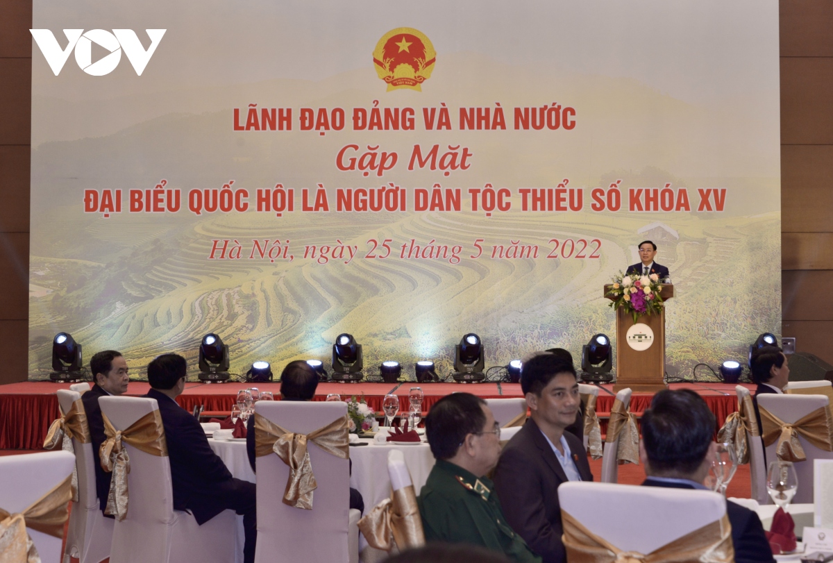 lanh dao Dang, nha nuoc gap mat dai bieu quoc hoi nguoi dan toc thieu so hinh anh 3