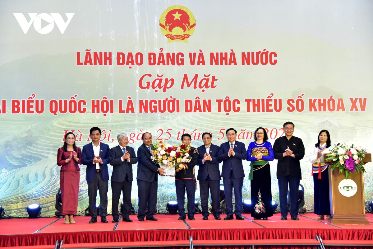 lanh dao Dang, nha nuoc gap mat dai bieu quoc hoi nguoi dan toc thieu so hinh anh 4