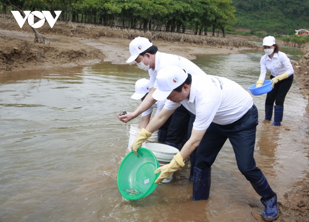 lễ phát động quốc gia ngày môi trường thế giới chỉ một trái đất hình ảnh 2 le phat dong quoc gia ngay moi truong the gioi chi mot trai dat hinh anh 2