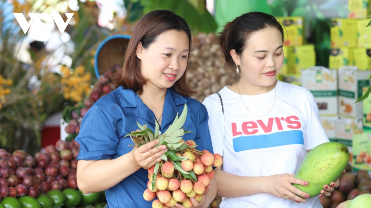 rực rỡ sắc màu nông sản tại festival trái cây và sản phẩm ocop năm 2022 hình ảnh 6 ruc ro sac mau nong san tai festival trai cay va san pham ocop nam 2022 hinh anh 6