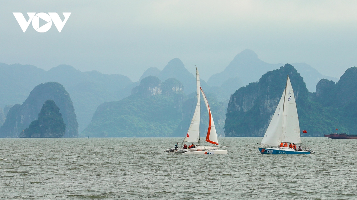 Diễu hành thuyền buồm trên vịnh Hạ Long hưởng ứng SEA Games 31 ...