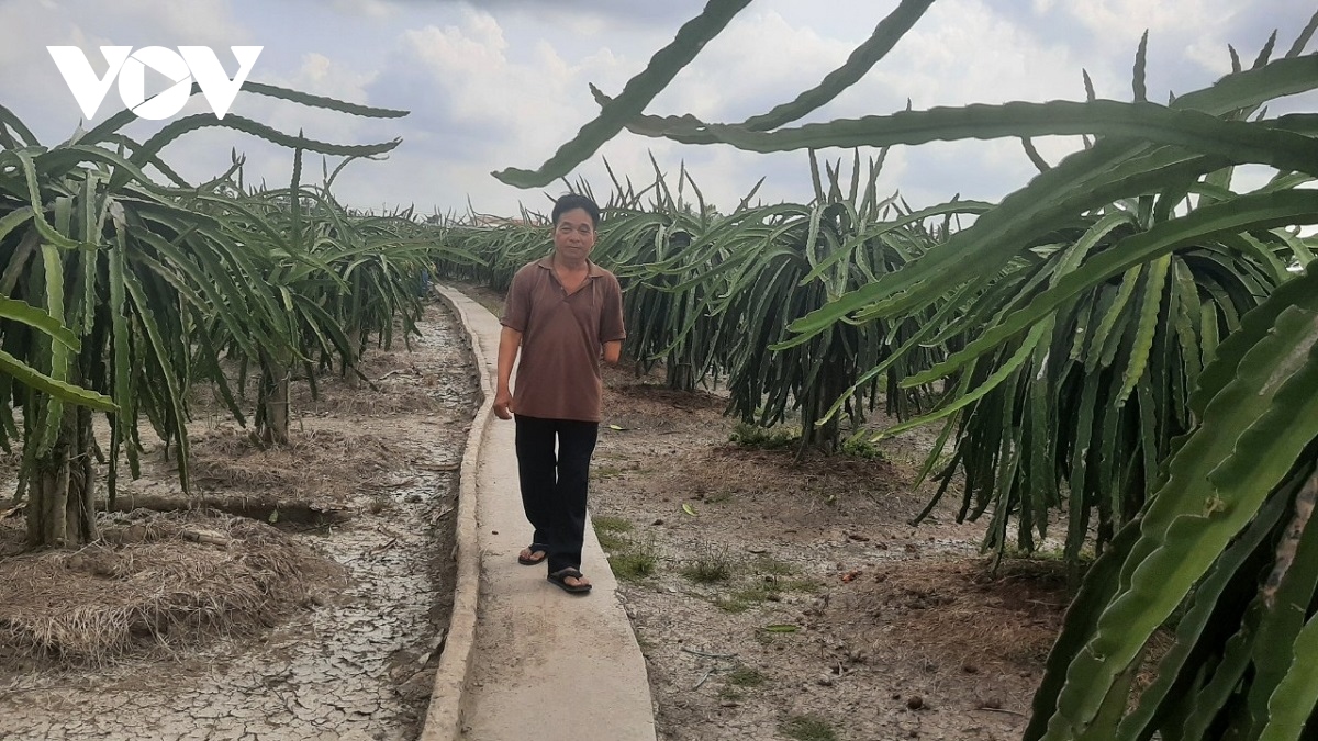 nguoi cuu chien binh thuong tat nang, vuot kho vuon len lam giau hinh anh 1