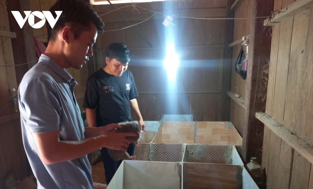 Quảng Nam chú trọng phát triển đảng viên trẻ ở miền núi