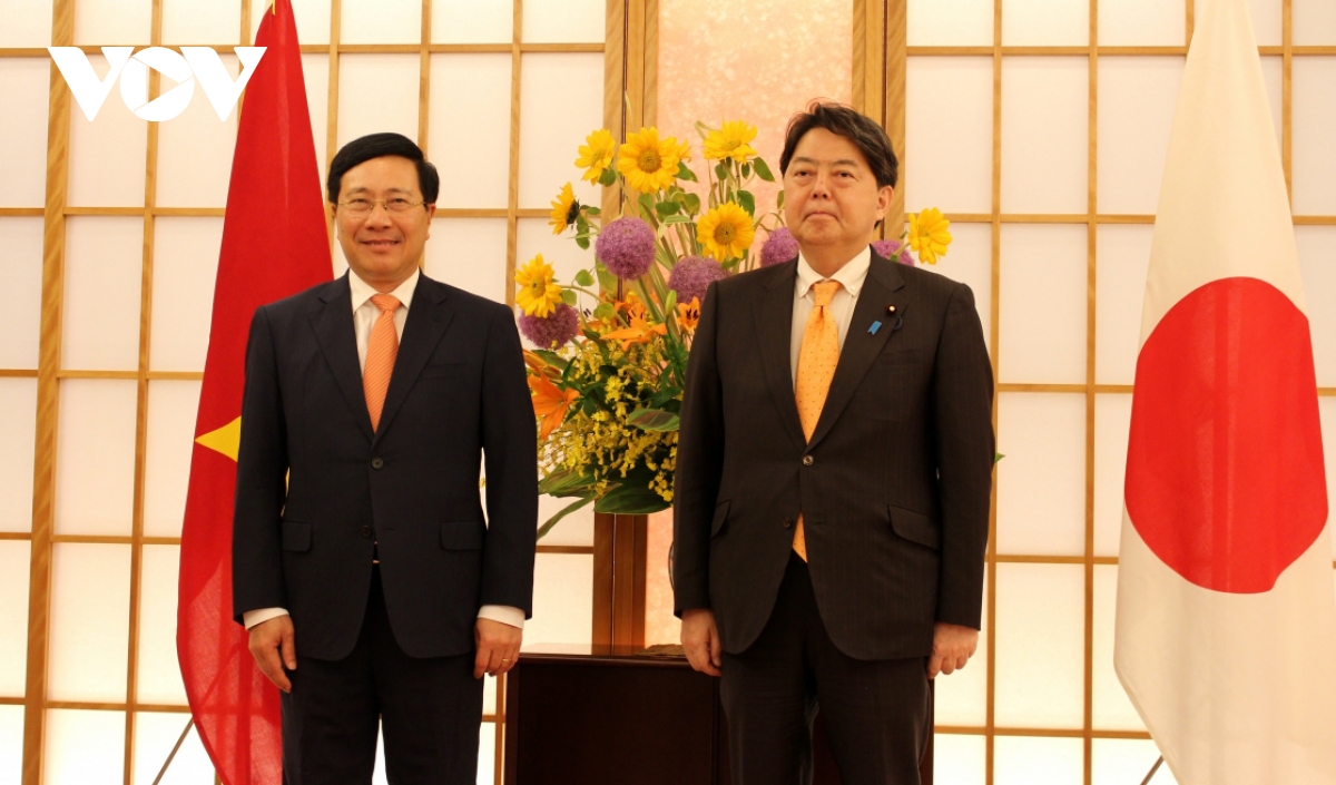 japan values vietnam s international role and position picture 3