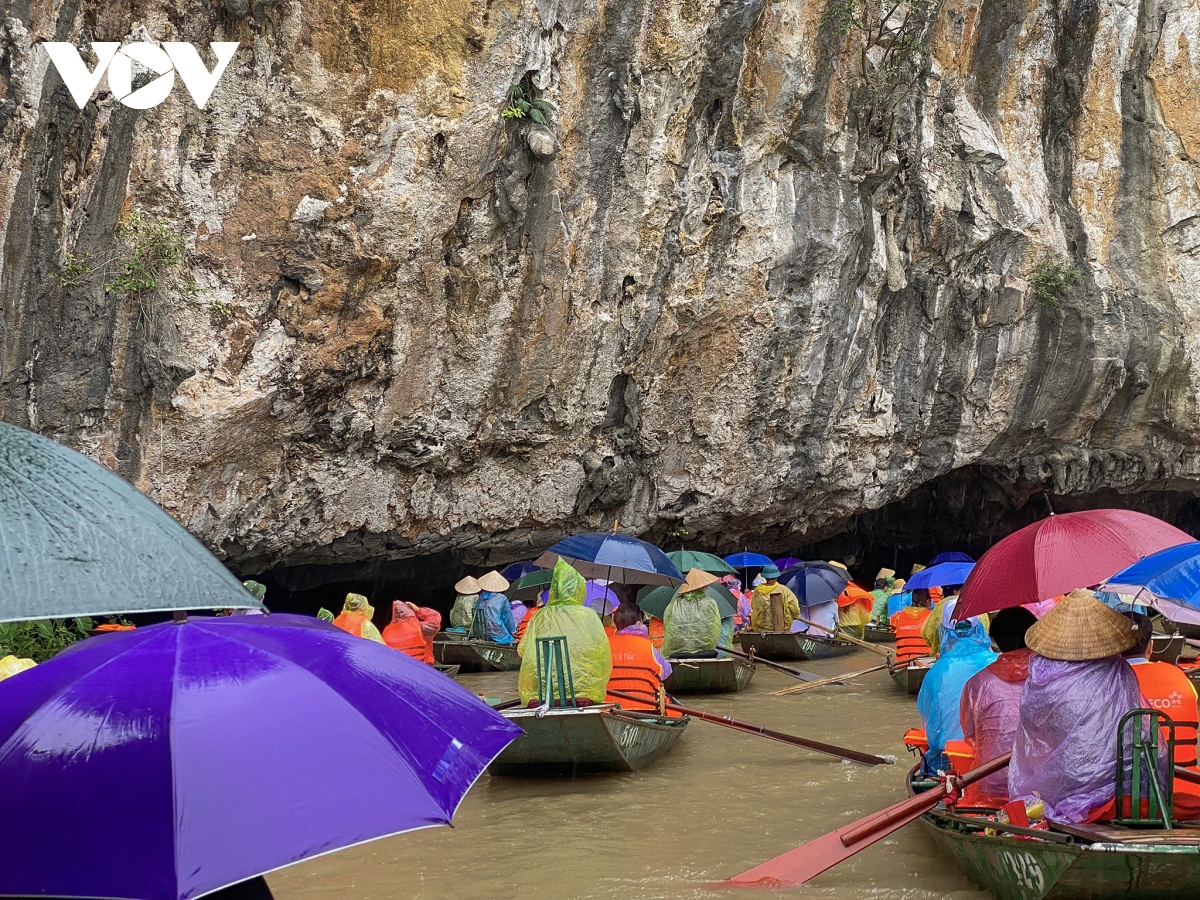 hang nghin du khach doi mua ngam lua trong ngay khai hoi sac vang tam coc - trang an hinh anh 3