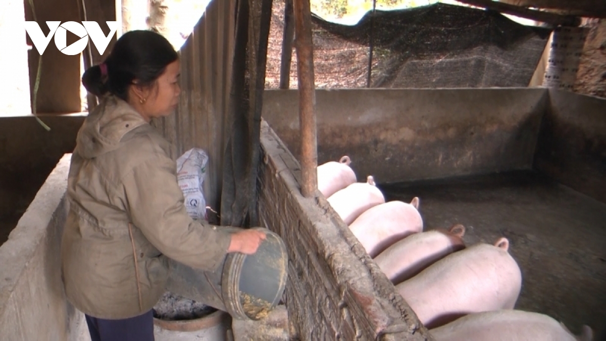 Nông dân miền núi lao đao vì mọi thứ đều tăng giá