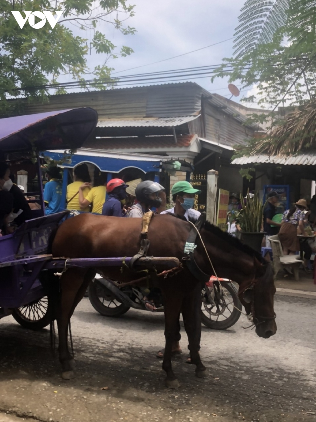  cac diem du lich o tien giang dong khach dip nghi le hinh anh 2