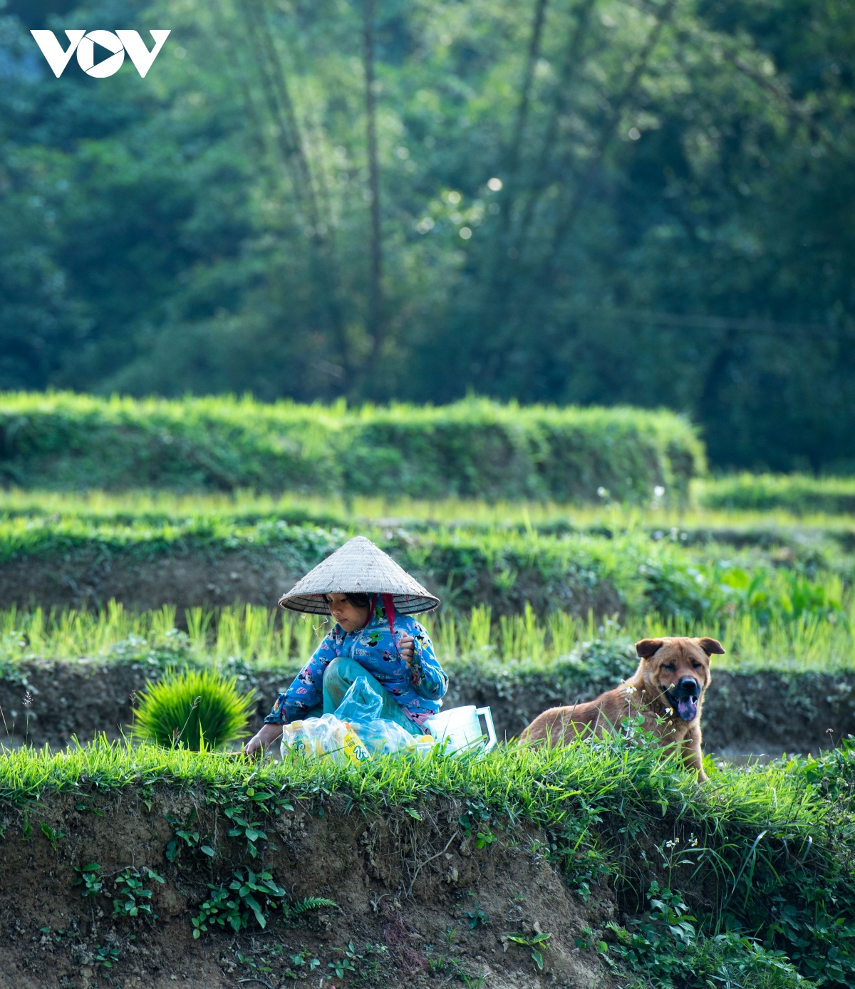 ngay he cua nhung dua be vung cao hinh anh 4