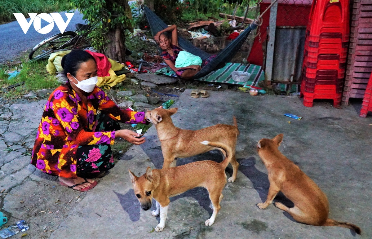 dan bi danh trong thuong vi ngan can trom cho hinh anh 1