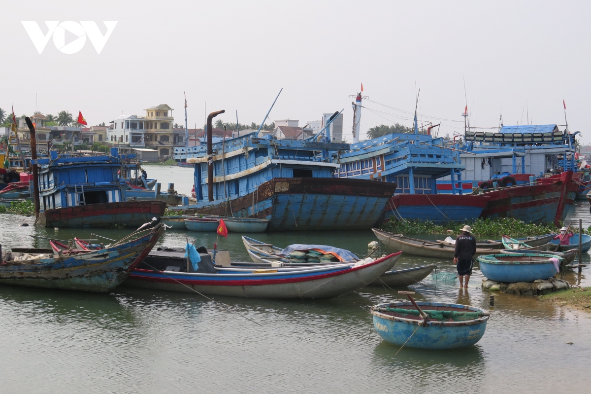 Sau 30/7, Quảng Ngãi sẽ đình chỉ tàu cá không lắp đặt thiết bị giám sát hành trình