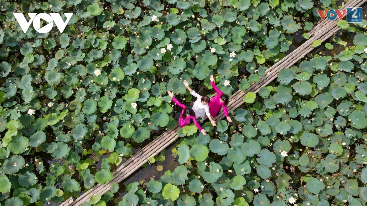 Điểm danh những đầm sen là thiên đường chụp ảnh ở Hà Nội