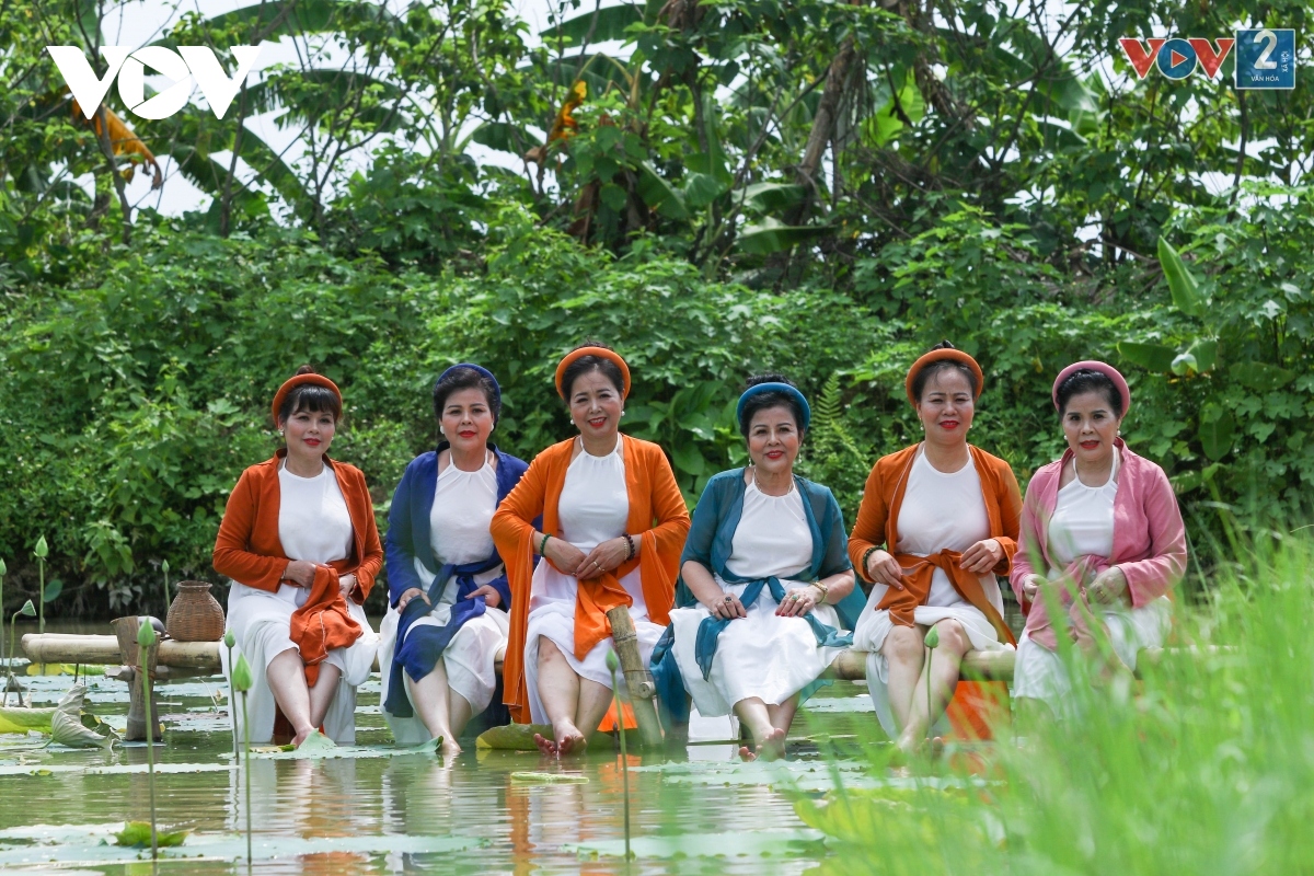 Ngắm đầm sen trắng tinh khôi ở ngoại thành Hà Nội